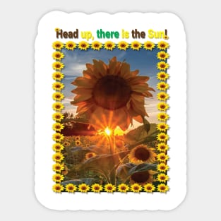 Sunflower - head up Sticker